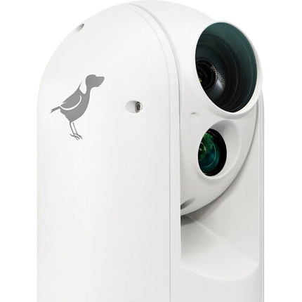 BirdDog Eyes A300 Cámara PTZ 1080p 30x Zoom Óptico IP67
