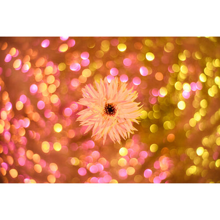 Meyer-Optik Gorlitz Primoplan 58mm f/1.9 II Lente Sony E Full Frame 52mm