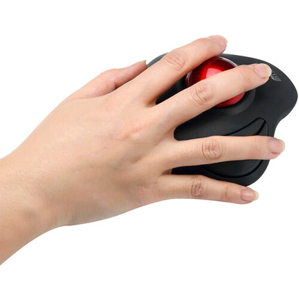 Adesso iMouse T40 Ratón Trackball Ergonómico Inalámbrico 2.4GHz 1.5 Pulgadas