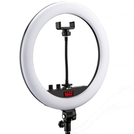 Angler Bi-Color Anillo de Luz LED Kit 14" Temperatura 3200-5600K