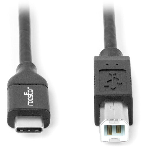 Rocstor Premium Cable USB Tipo-C a USB Tipo-B 6 pies Negro USB 2.0