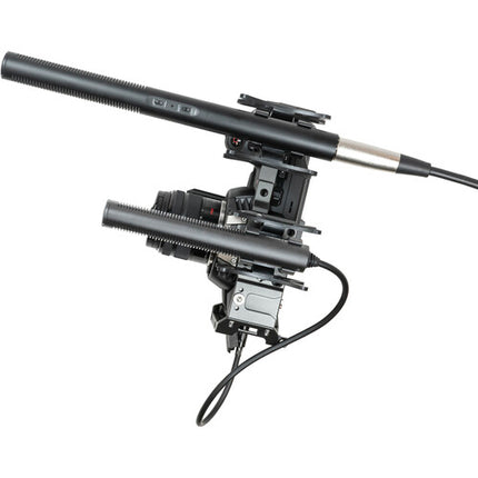 Azden SGM-250CX Micrófono Shotgun Corto con Shockmount y Cable XLR 33 cm