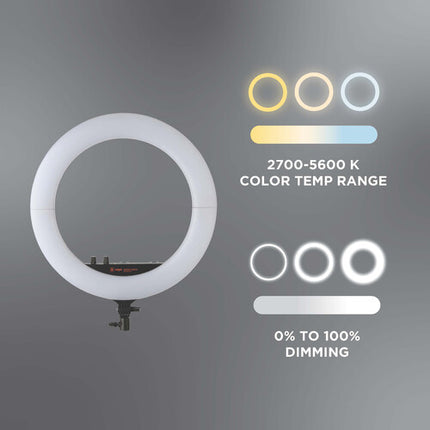 Raya Bendie-Brite Aro de Luz Plegable Bicolor 18 2700-5600K