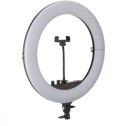 Raya Bendie-Brite Aro de Luz Plegable Bicolor 18 2700-5600K