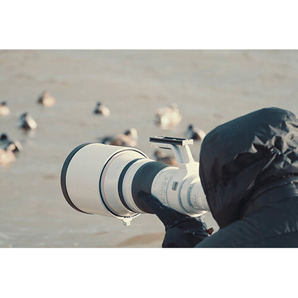 Canon RF 800mm f5.6 L IS USM objetivo con estabilizador y cubierta protectora