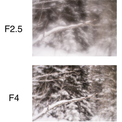 Lensbaby Soft Focus II 50 Óptica Compatible Full Frame f 2.5-22 46mm