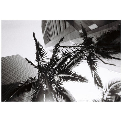 Lomography Simple Use Cámara Recargable Blanco y Negro 27 Exposiciones f9 31mm