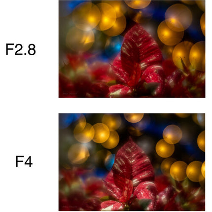 Lensbaby Composer Pro II con óptica Soft Focus II 50 para Leica L con diafragma de 12 hojas y foco mínimo de 15 pulgadas