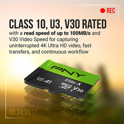 PNY 256GB Elite-X microSDXC UHS-I Tarjeta de Memoria 100MB/s V30