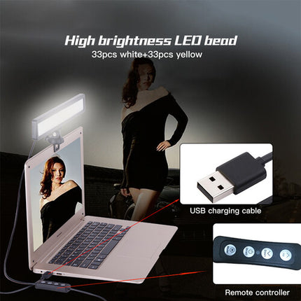 DigitalFoto WS66 Luz LED de Relleno 1 Pie 2500-9000K Control Remoto