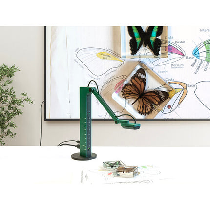 IPEVO VZ-R Cámara Documental HDMI y USB 8MP 1080p Luz LED Verde