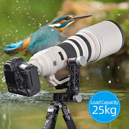 XILETU Cabezal Gimbal Profesional Capacidad 25 kg Liberación Rápida Arca-Type con Estuche