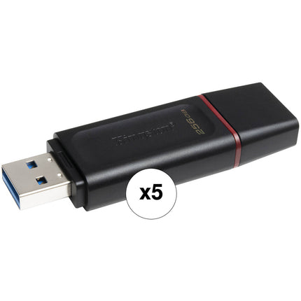 Kingston 256GB DataTraveler Exodia Unidad Flash USB 3.2 Gen 1 5-Pack