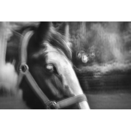 Lensbaby Fixed Body con óptica creativa 50mm f2.5-22 para Sony E