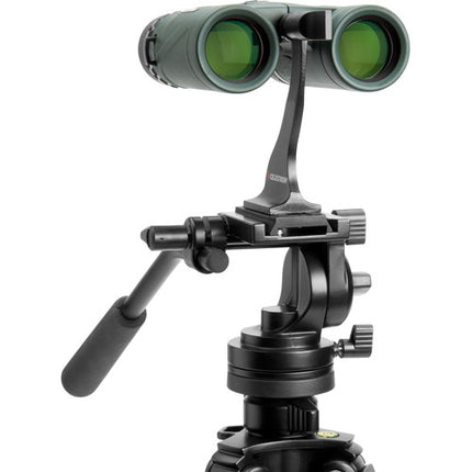 Celestron 10x32 Nature DX Binoculares con Prisma BaK-4 y 6.5 ft Enfoque Cercano