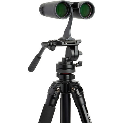 Celestron 8x42 Outland X Prismáticos 42 mm Nitrogenado Estuche