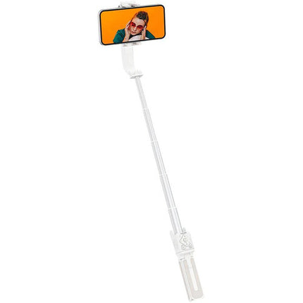 Hohem iSteady Q Gimbal para Smartphone hasta 280 g con Control Remoto Desmontable