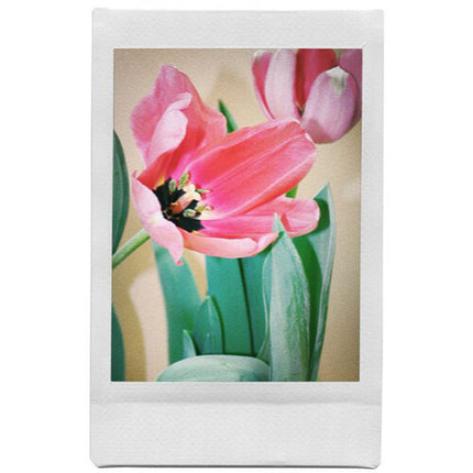 Lomography Lomo'Instant Cámara Instantánea con 3 Lentes y Flash Incorporado