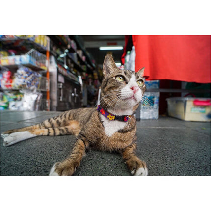 Lomography Atoll Ultrawide 17mm f/2.8 Lente para Cámaras Full-Frame