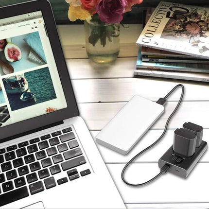 Neewer Cargador Dual USB con Pantalla LED y 2 Baterías NP-FZ100