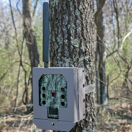 Bushnell Trail Cam Caja de Seguridad Acero con Recubrimiento en Polvo