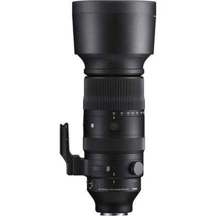 Sigma 60-600mm f4.5-6.3 DG DN OS Lente Telefoto con Estabilización Sony E