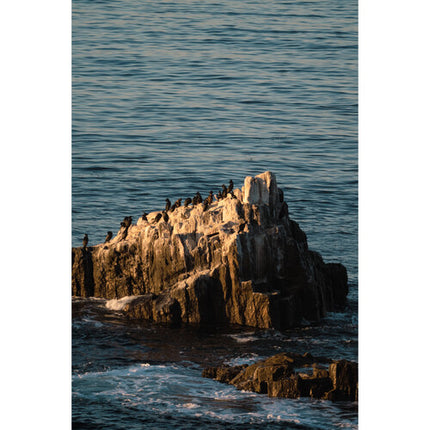 Tokina SZ 300mm f7.1 Pro Reflex Teleobjetivo Manual APS-C Sony E