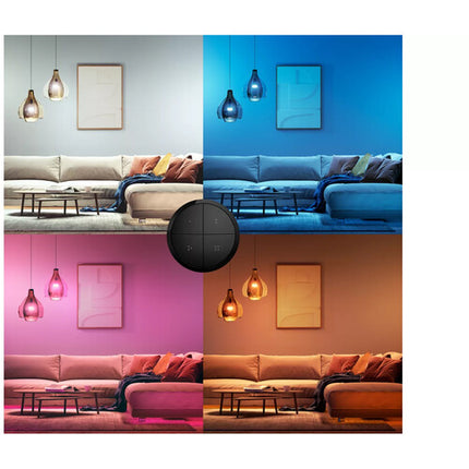 Philips Hue Tap Dial Switch negro mando control remoto ZigBee CR2032
