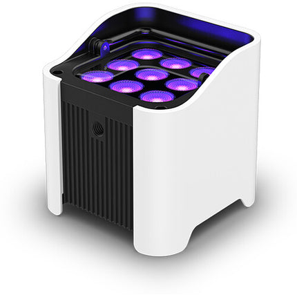 CHAUVET DJ Freedom Par H9 IP Kit de 8 focos LED RGBAW+UV 10W con estuche de carga