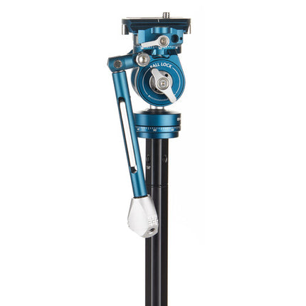 Benro CyanBird Tripode de Fibra de Carbono 5 Secciones 60 Pulgadas con Cabezal 2 en 1 y Estuche