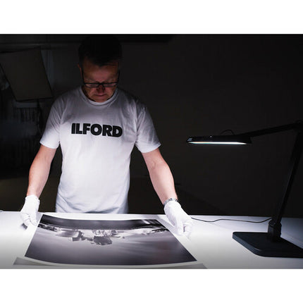 Ilford ILFOLUX Lámpara de Visualización Color Control Variable 95 CRI 120°