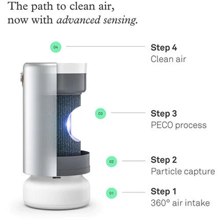 Filtro PECO-HEPA Tri-Power 99.97% para Purificador de Aire Air Pro