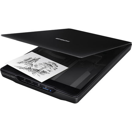 Epson Perfection V39 II Escáner Plano Color 4800 dpi con Tapa Extraíble y Soporte Integrado