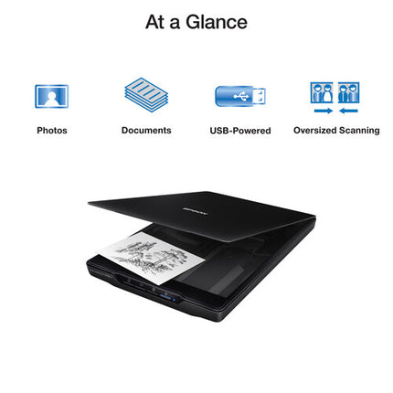 Epson Perfection V39 II Escáner Plano Color 4800 dpi con Tapa Extraíble y Soporte Integrado