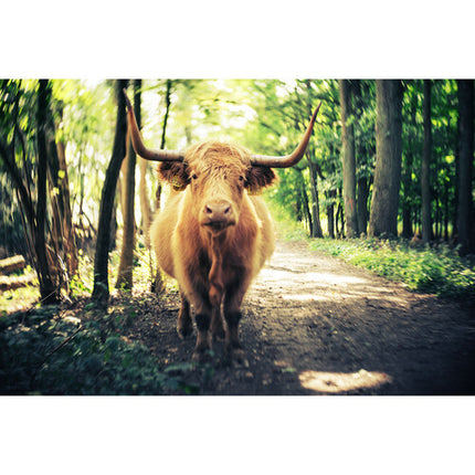 Lensbaby Composer Pro II Objetivo 60mm f2.5 f22 con Filtro ND8 Canon EF