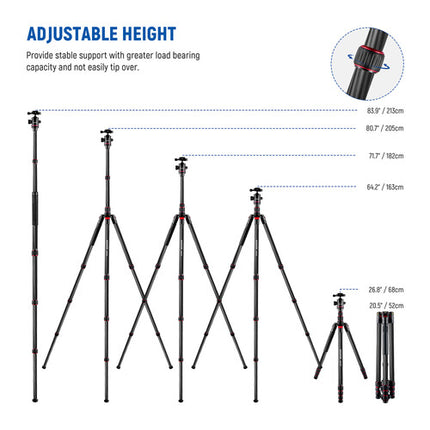 Neewer N55CR Trípode de Fibra de Carbono con Cabeza Esférica 80.7 cm y 12 kg de Carga