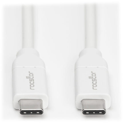 Rocstor Cable de carga USB-C 2.0 1.6 pies Blanco 480 Mb/s 100W