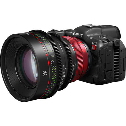 Canon CN-R 85mm T1.3 L F Lente Prime de Cine Montura RF 11 Láminas Iris