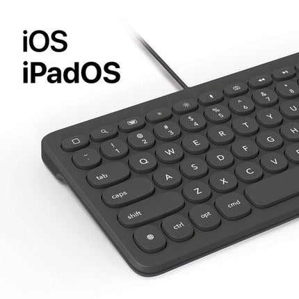 ZAGG Connect Keyboard 12L Teclado Compacto con Conectividad Lightning