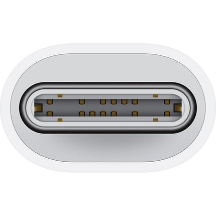 Apple USB-C a Lightning Adaptador con conector macho USB-C y puerto hembra Lightning