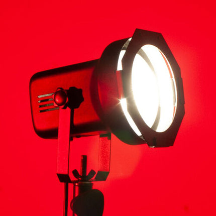 Eliminator Lighting PAR-38EL Proyector Bajo Perfil con Lámpara 150W y Soporte Colgante