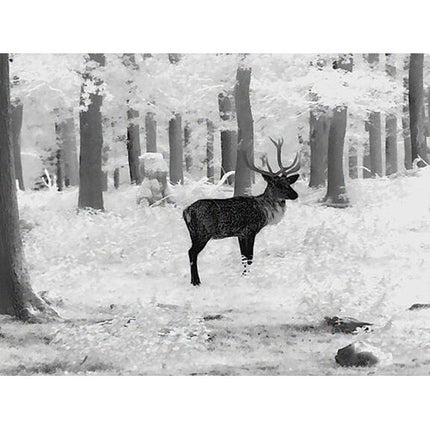 Leica Calonox 2 Sight Monocular Clip-On Thermal IP67 Resistente Al Agua