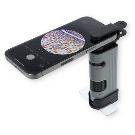 Carson MicroPic Microscopio de Bolsillo LED Aumento 120-240x con Adaptador para Smartphone