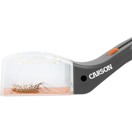 Carson Humane Herramienta para Captura Ética de Insectos con Lupa 5x y Deslizante