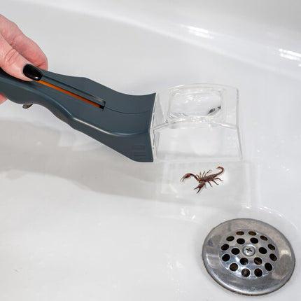 Carson Humane Herramienta para Captura Ética de Insectos con Lupa 5x y Deslizante