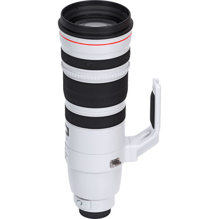 Canon EF 200-400mm f4L IS USM Teleobjetivo con Extensor 1.4x y Estabilizador