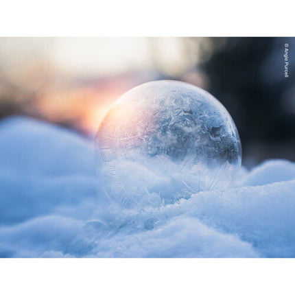 Lensbaby Sweet 22 Optic para Nikon Z objetivo manual 33mm f3.5 full-frame