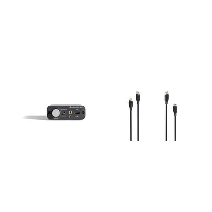 Audioengine D1P Amplificador y DAC Portátil 32-Bit 384 kHz DSD 256