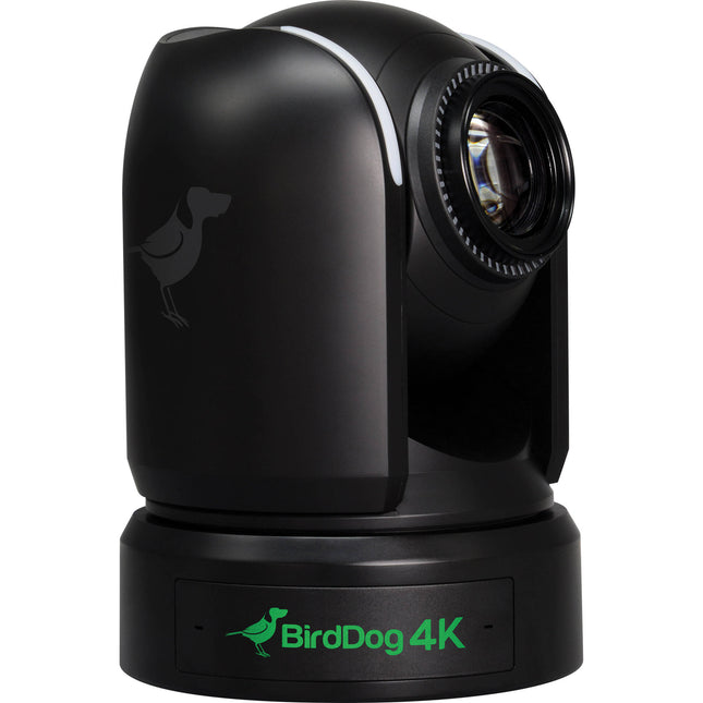 BirdDog P4K Cámara PTZ 4K 3840x2160 1" Sensor Sony Black