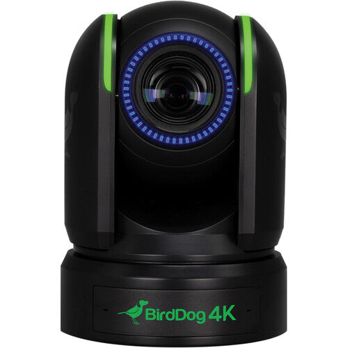 BirdDog P4K Cámara PTZ 4K 3840x2160 1" Sensor Sony Black